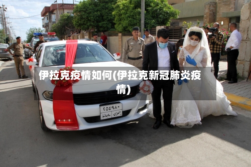 伊拉克疫情如何(伊拉克新冠肺炎疫情)
