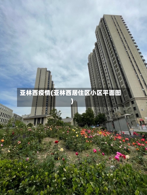 亚林西疫情(亚林西居住区小区平面图)