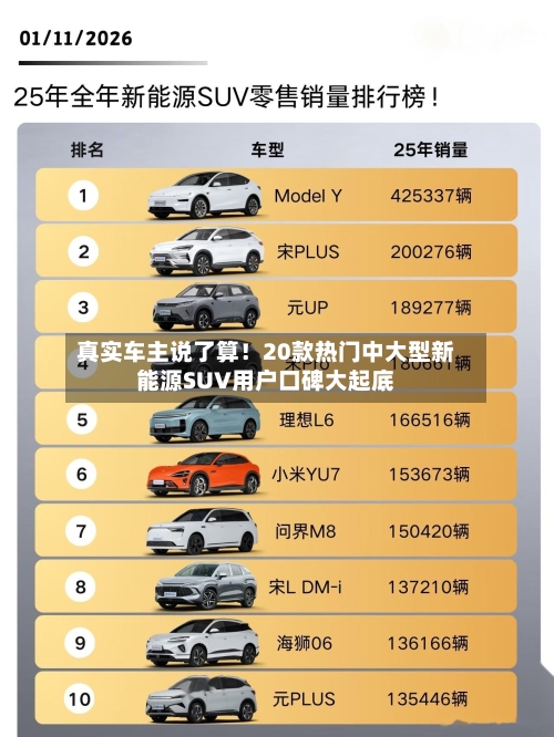 真实车主说了算！20款热门中大型新能源SUV用户口碑大起底