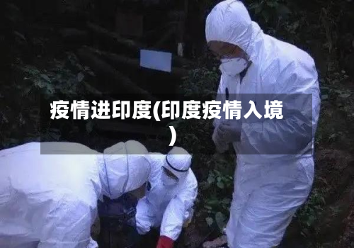 疫情进印度(印度疫情入境)
