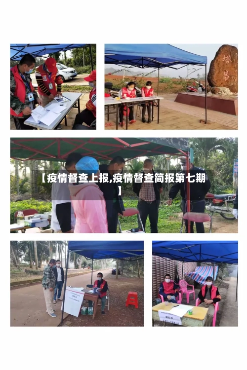 【疫情督查上报,疫情督查简报第七期】