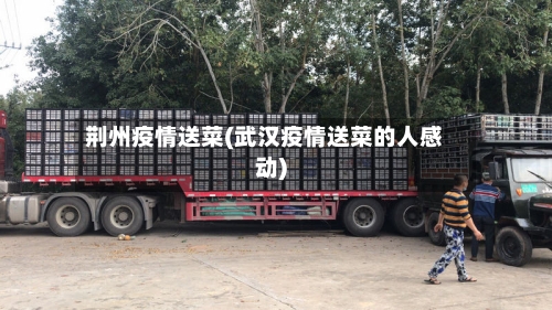 荆州疫情送菜(武汉疫情送菜的人感动)