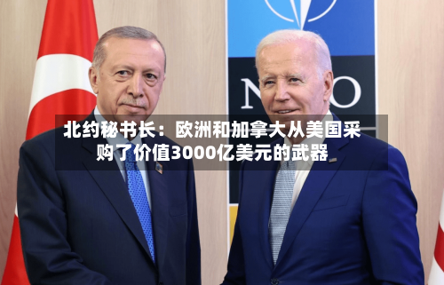 北约秘书长:欧洲和加拿大从美国采购了价值3000亿美元的武器