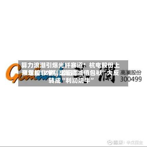 算力浪潮引爆光纤赛道！杭电股份上半年扣非净利比较高预增超12倍，昔日“减值包袱”大反转成“利润奶牛”
