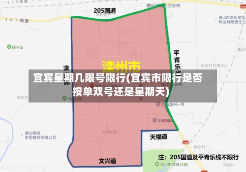 宜宾星期几限号限行(宜宾市限行是否按单双号还是星期天)