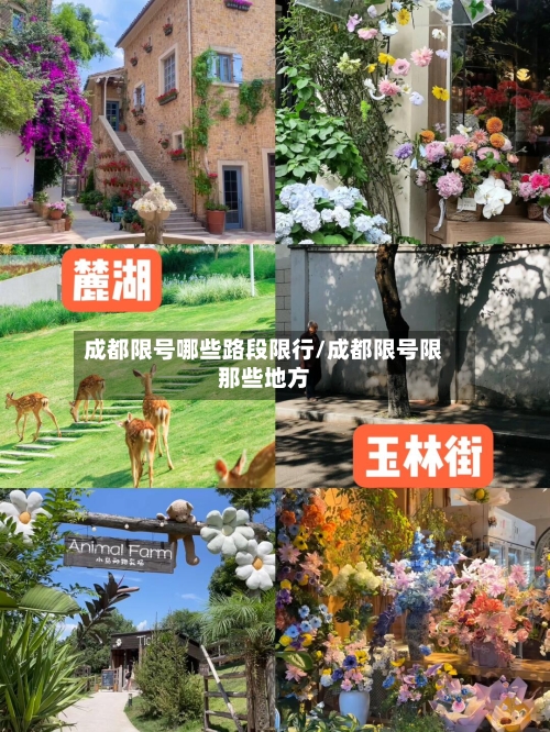 成都限号哪些路段限行/成都限号限那些地方
