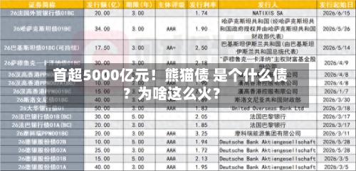 首超5000亿元!熊猫债 是个什么债?为啥这么火?