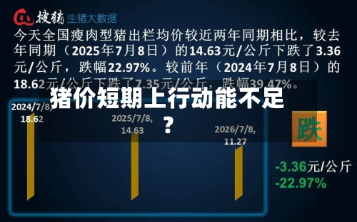 猪价短期上行动能不足?-第1张图片