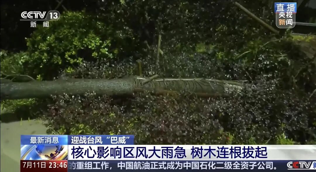 “巴威	”最新路径公布！0时在浙江乐清二次登陆	，5时减弱为强热带风暴，中心最大风力11级